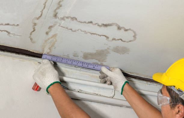 Reliable Emergency Water Damage Restoration contractor in Lawrenceville, NJ by Water Damage Irwin